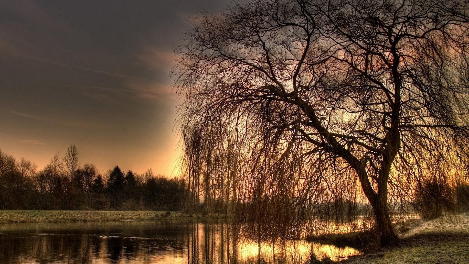 sonnenuntergang und dämmerung baum dämmerung landschaft see reflexion holz natur herbst wasser fluss sonnenuntergang winter park abend pleside himmel im freien gelassenheit