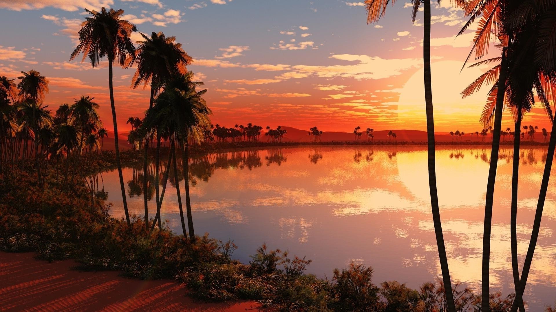 tramonto e alba spiaggia palme tropicale tramonto mare oceano esotico sabbia acqua cocco albero sole isola viaggi estate paesaggio vacanza resort cielo