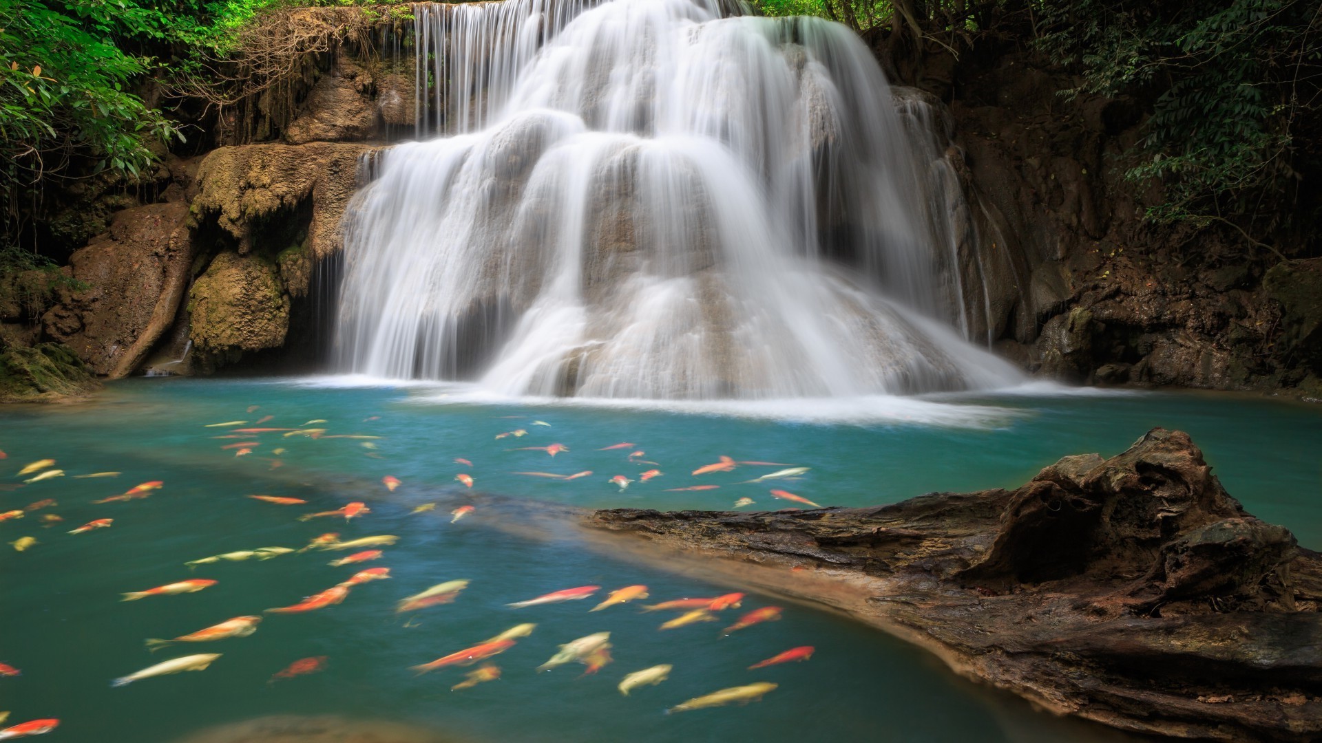 cachoeiras água cachoeira rio natureza viagem córrego ao ar livre outono rocha madeira molhado cascata paisagem limpeza movimento folha grito córrego