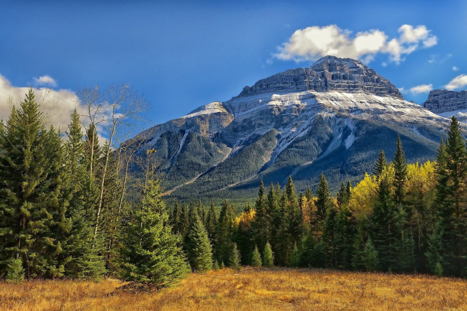 parks holz berge landschaft baum schnee landschaftlich natur im freien nadelholz himmel evergreen reisen herbst gutes wetter tageslicht wild