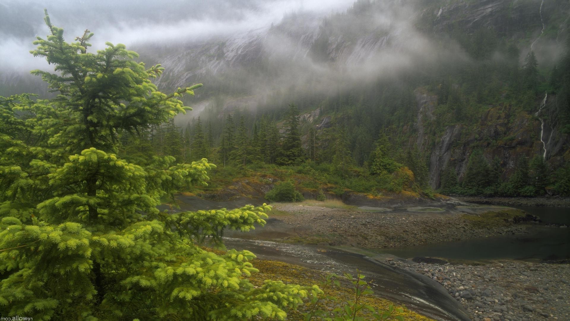 montagna paesaggio natura albero acqua nebbia viaggi all aperto legno montagna nebbia autunno scenic fiume foglia cielo parco