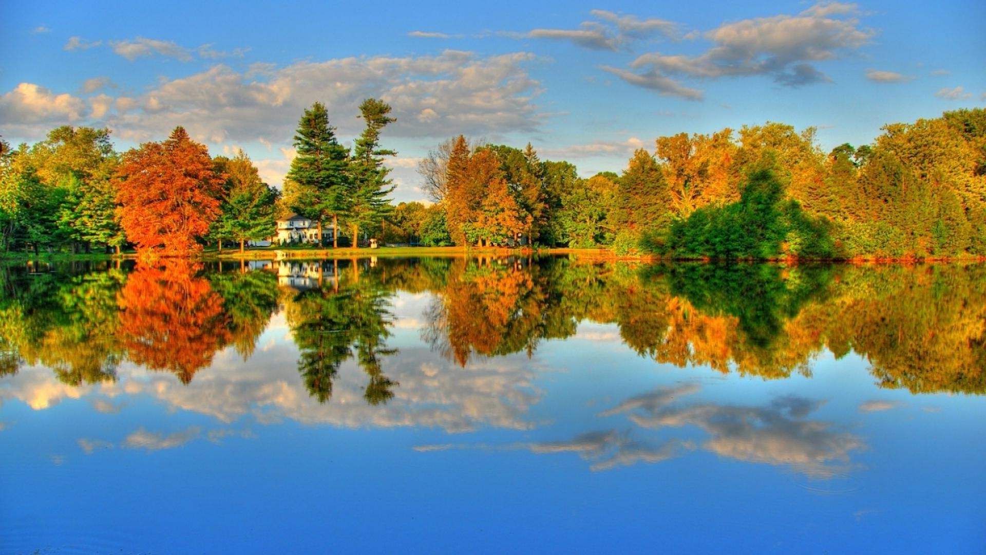 lake tree outdoors nature fall sky daylight landscape wood leaf scenic fair weather sun dawn sunset evening summer