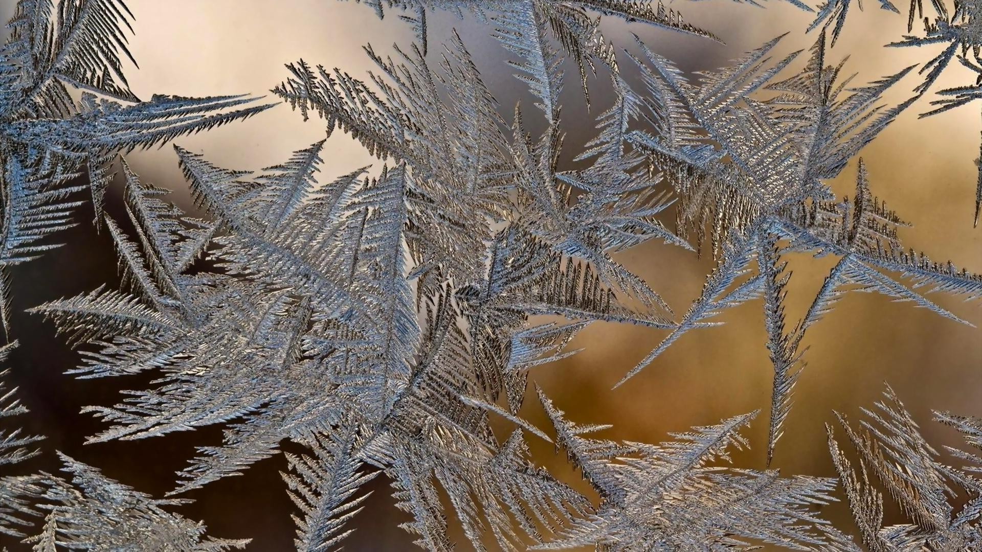 przedmioty zima mróz boże narodzenie śnieg drzewo natura zimno sezon pulpit