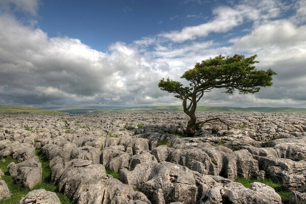 Boulders and stones fit perfectly into the picture of our consciousness