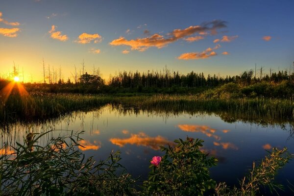 El sol se refleja en el agua