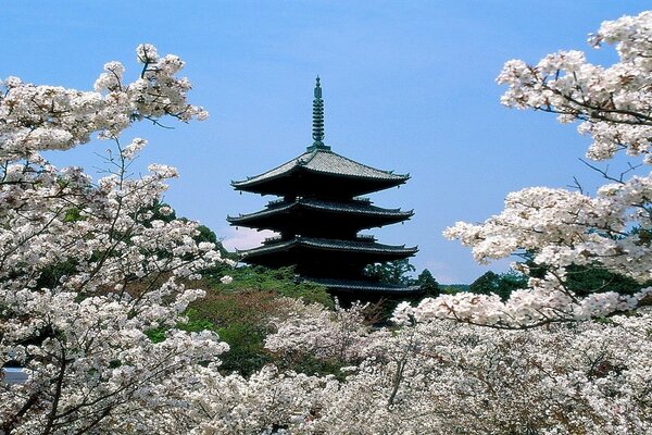 Chinesische antike Architektur in Blumen