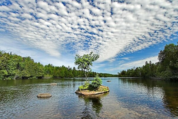 Ein Fluss mit bewölktem Himmel und Wald an den Ufern