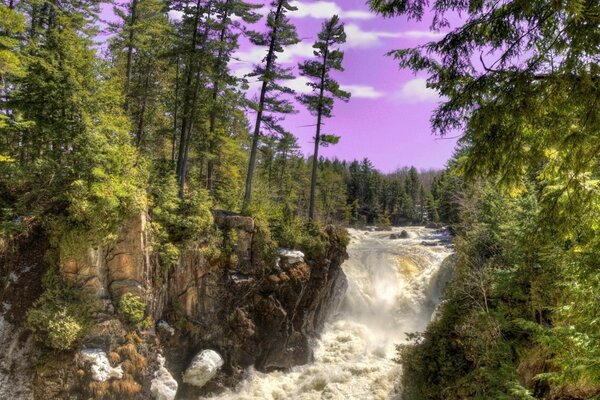 Paisaje de la naturaleza de la cascada y la madera