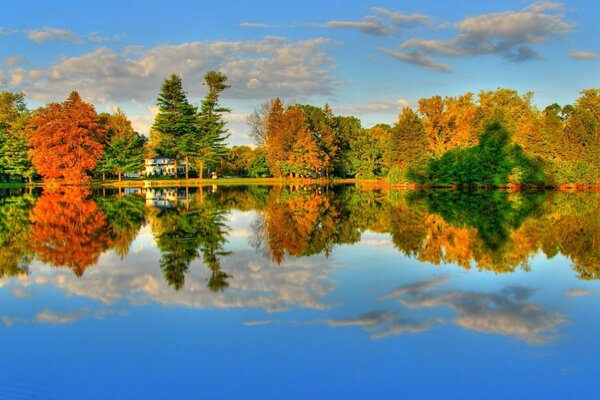 Autumn forest on the river bank