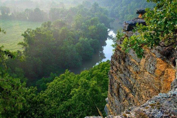 Roccia vicino al fiume e alberi