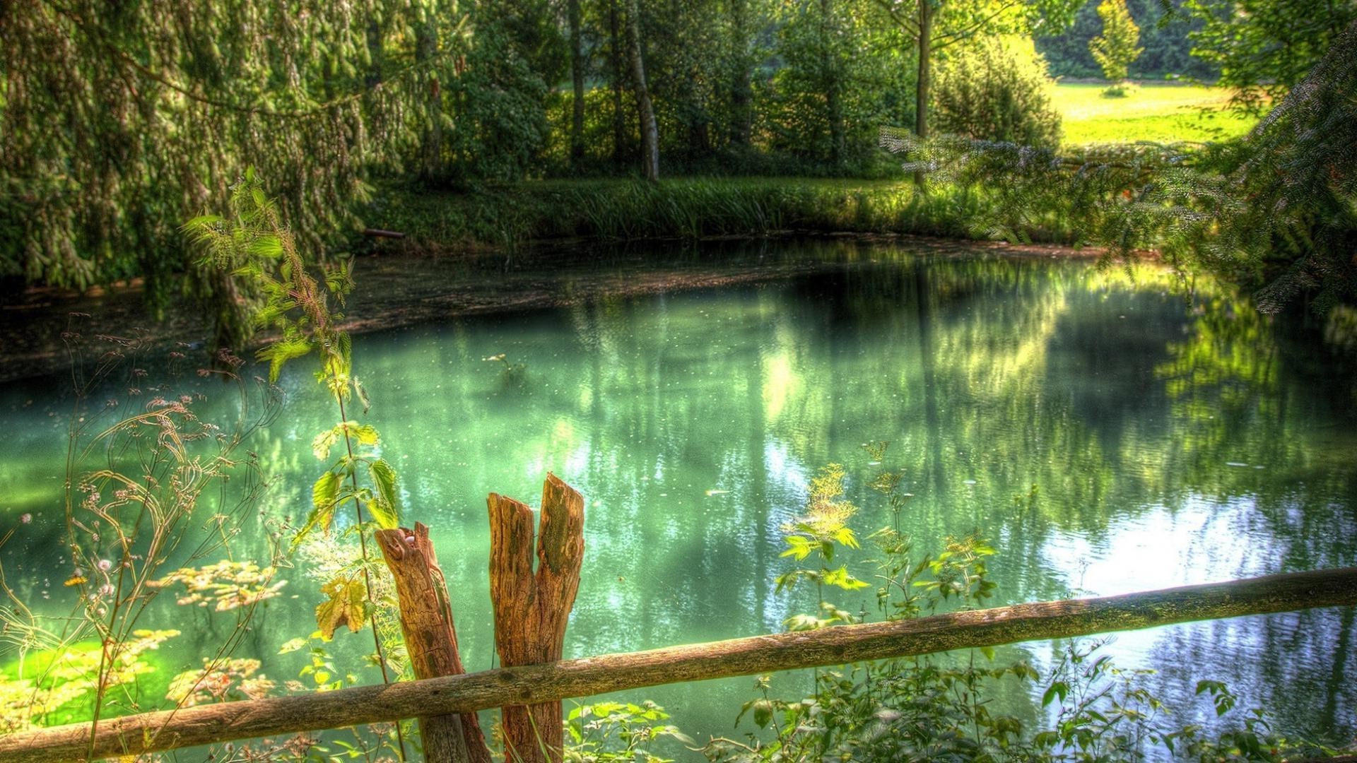 lake water wood nature tree river reflection landscape summer leaf park outdoors scenic travel environment pool composure dawn fair weather