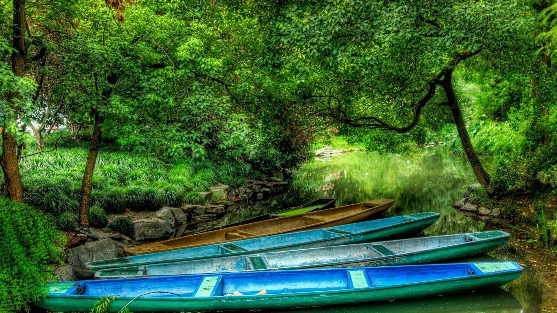 landscapes water wood tree nature river landscape tropical summer travel boat leaf paradise park flora outdoors