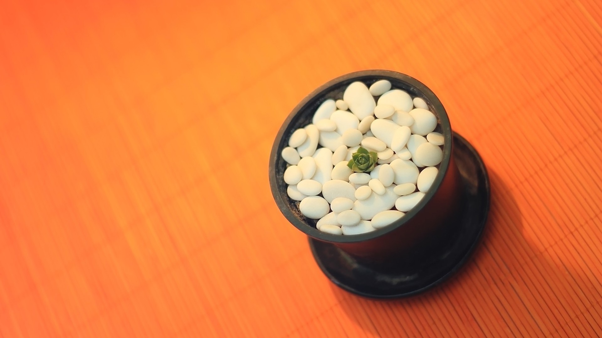 еда медицина рабочего стола здоровья чаша древесины натюрморт здоровый