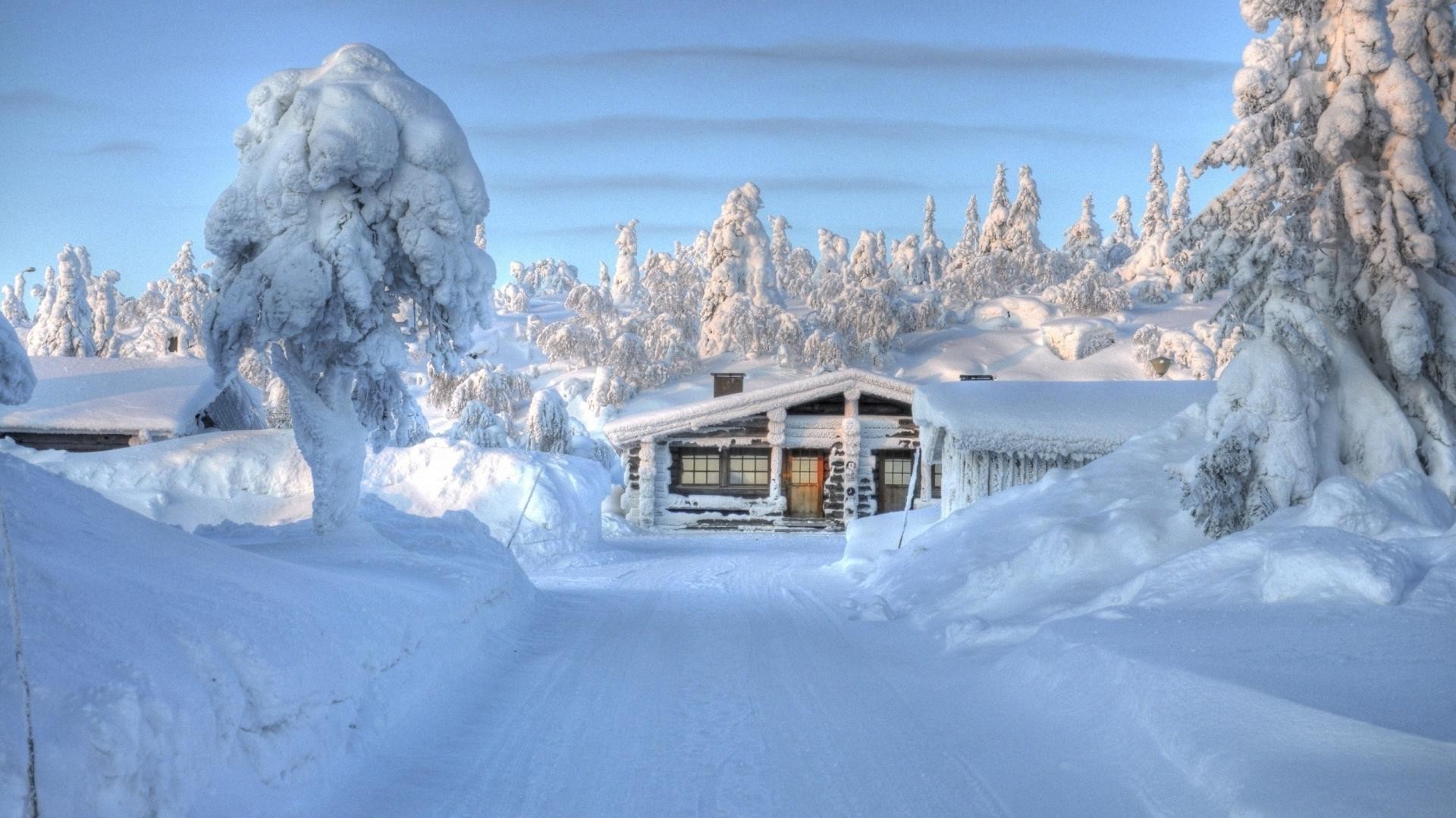 冬天 雪 冷 冰 冰冻 山 霜 木材 风景 雪 天气 雪堆 景观 度假胜地 季节 霜冻 常绿 粉末 轨道