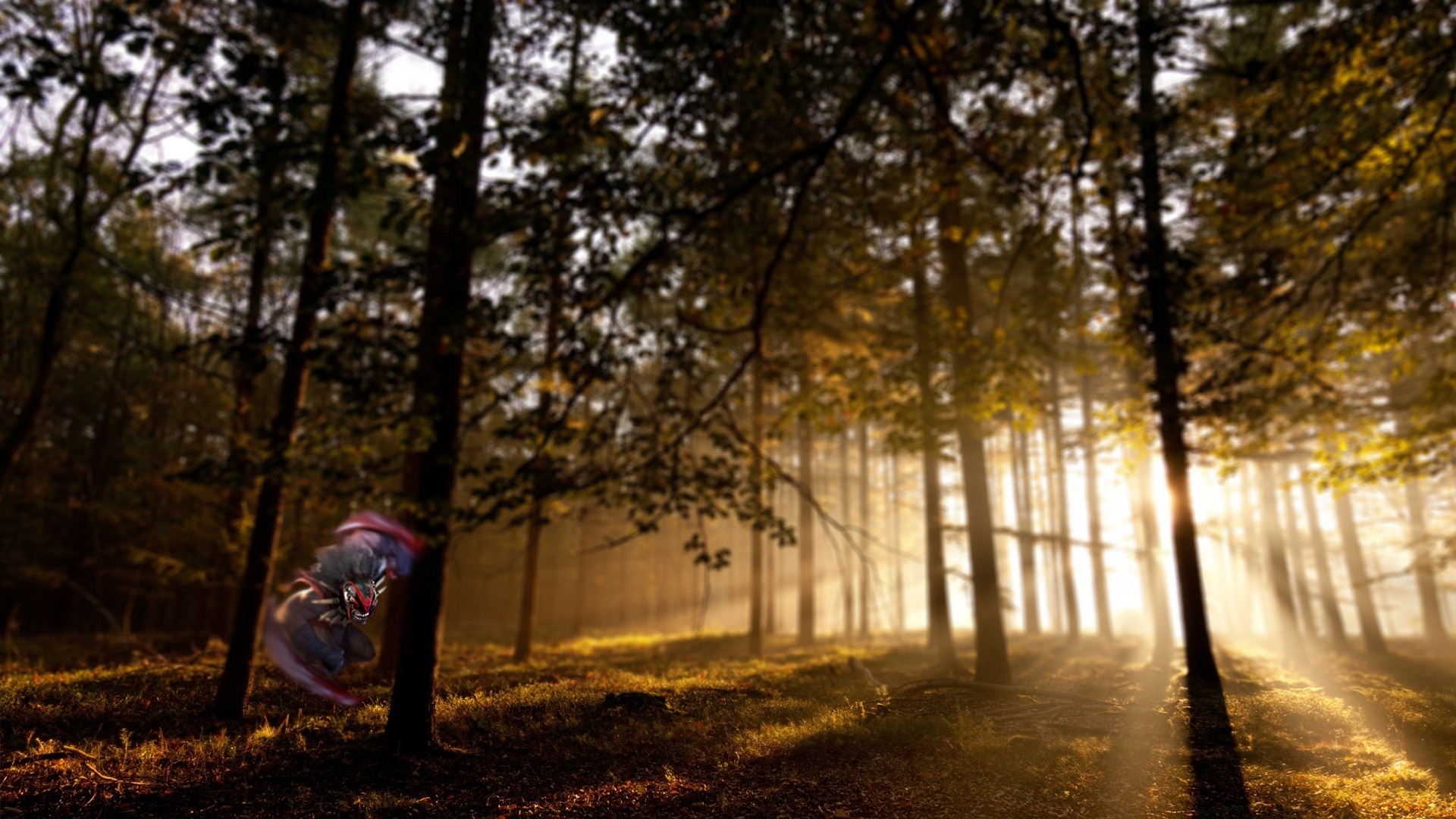 dota holz holz dämmerung landschaft natur sonne nebel licht herbst nebel park gutes wetter schatten im freien umwelt straße hintergrundbeleuchtung