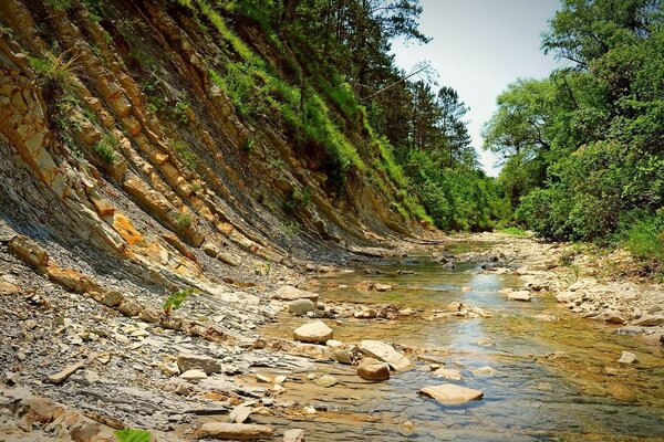 Nature of ponds and streams of water