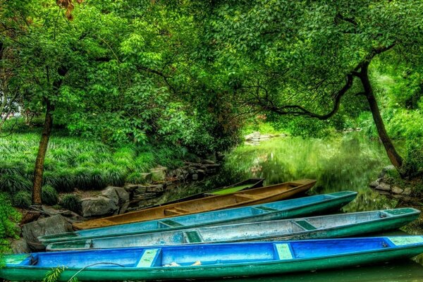 Naturaleza del agua, paisaje de la naturaleza