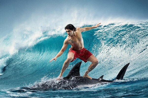 Homme sportif debout sur un requin