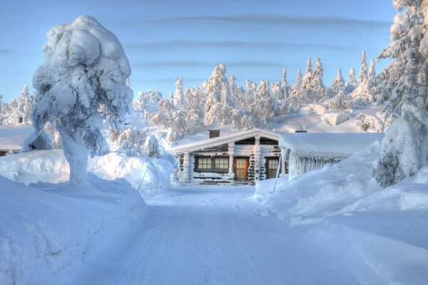 Imagen de invierno con una casa congelada