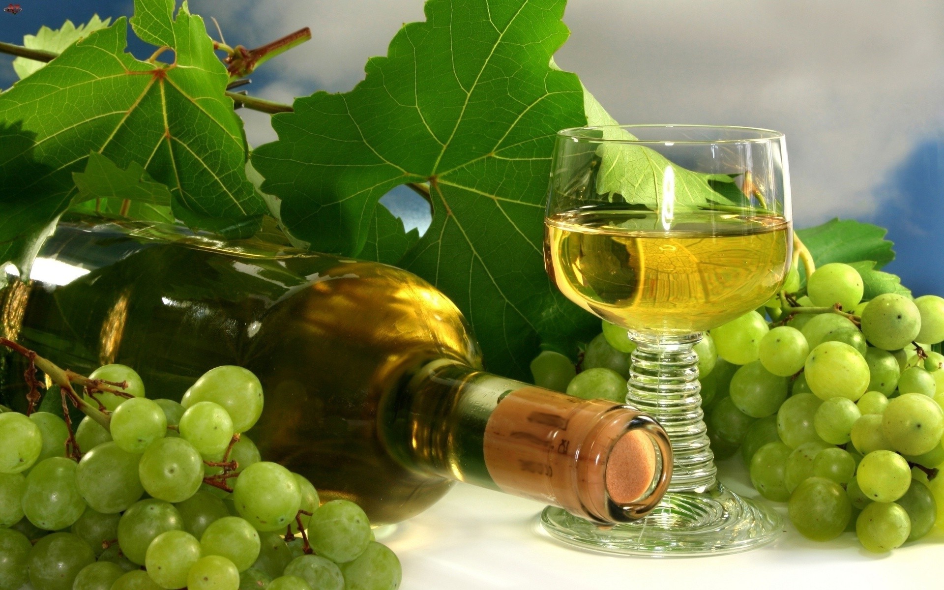 saft wein trauben rebe flasche weingut glas trinken obst alkohol weinberg grapevine essen blatt weinbau weide gesund gesundheit cluster stillleben