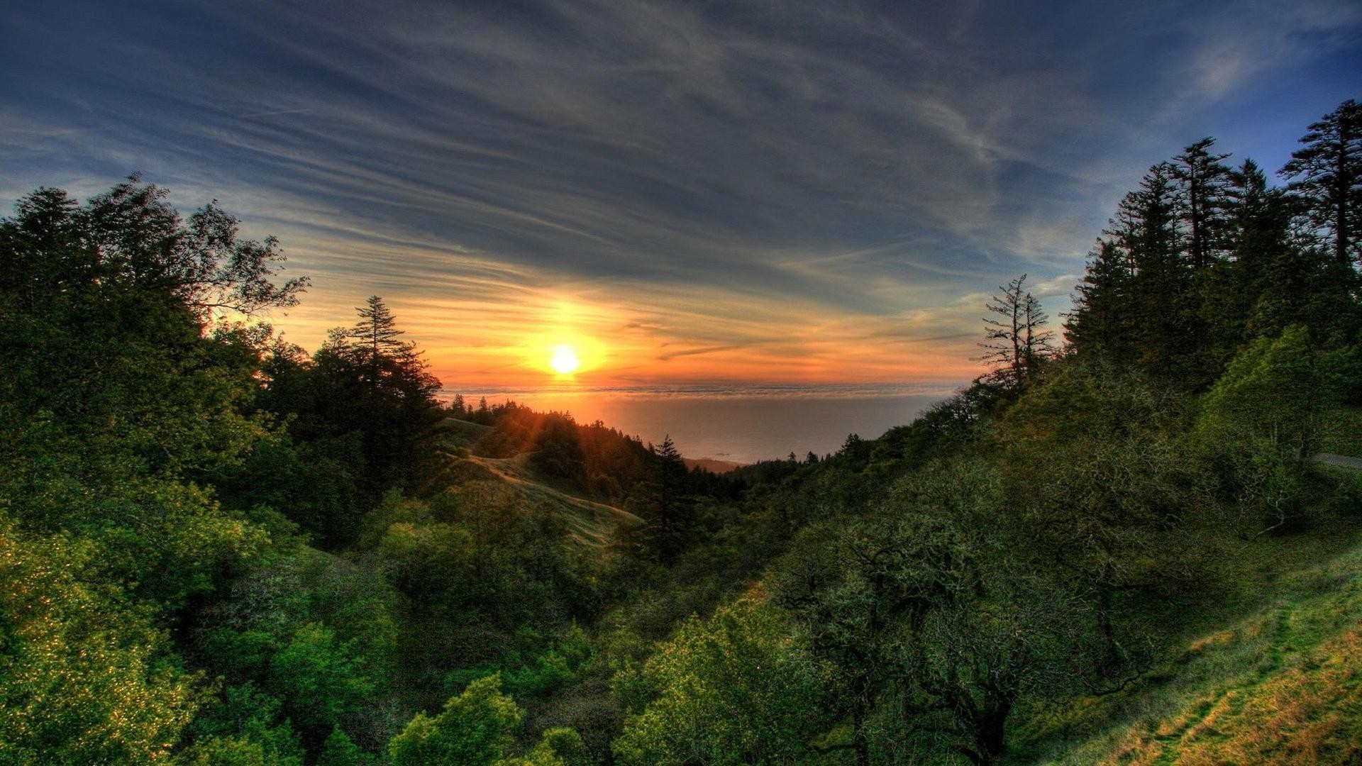 coucher du soleil et l aube nature coucher de soleil paysage arbre aube ciel bois soleil à l extérieur voyage montagnes lumière soir brouillard