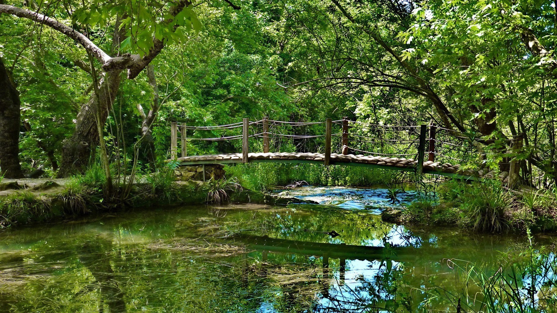 flüsse teiche und bäche teiche und bäche natur wasser holz holz landschaft fluss blatt sommer umwelt park flora reflexion schwimmbad gras im freien ländliche saison gelassenheit reisen