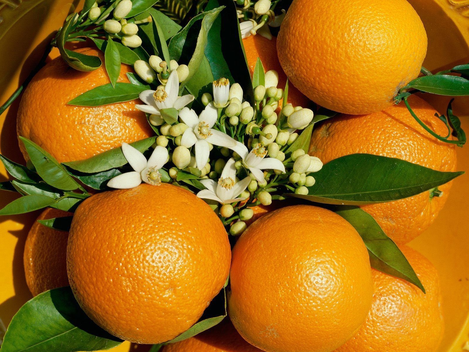 frutas citrinos tangerina limão tangerina suculento folha suco comida limão saúde tropical saudável confeitaria crescer toranja natureza