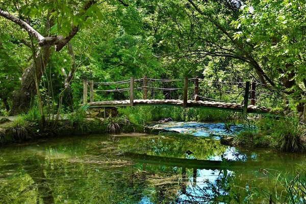 Hölzerne Hängebrücke über dem Teich