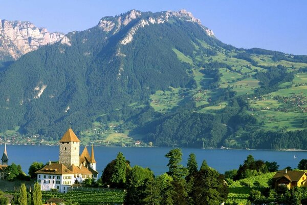 Wunderschöne Bergsommerlandschaft