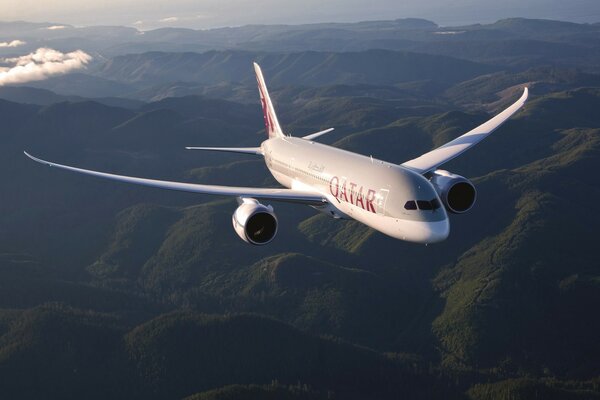 Un avion de passagers effectue un vol au-dessus des collines