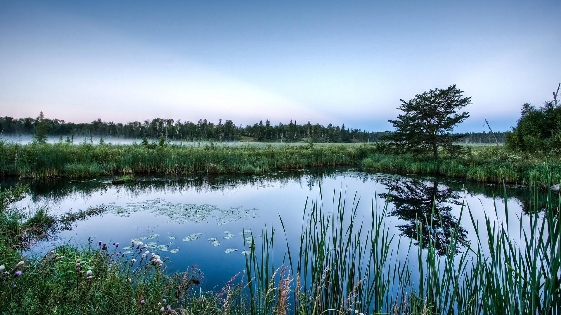 lake water reflection landscape nature sky river outdoors travel grass pool tree summer scenic marsh