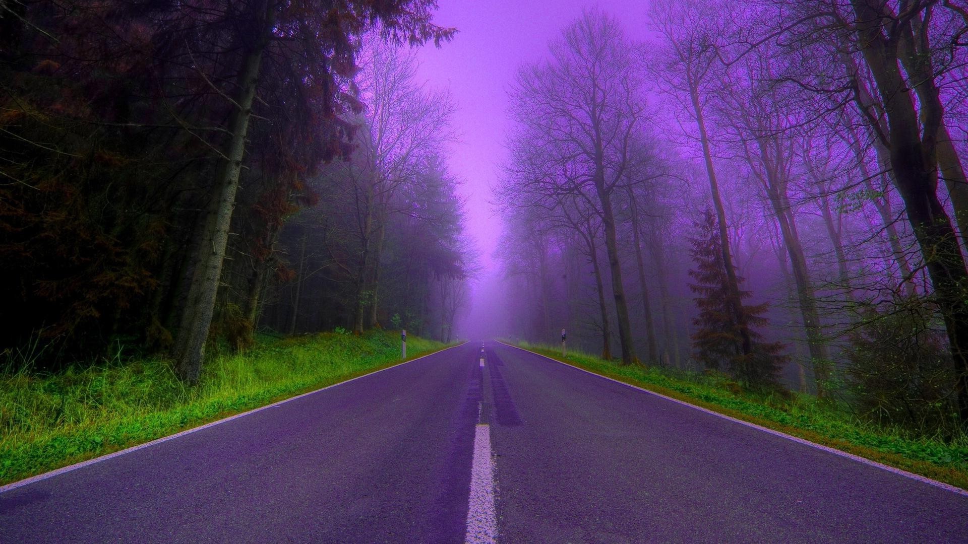 strada paesaggio legno nebbia guida albero alba natura luce sfocatura