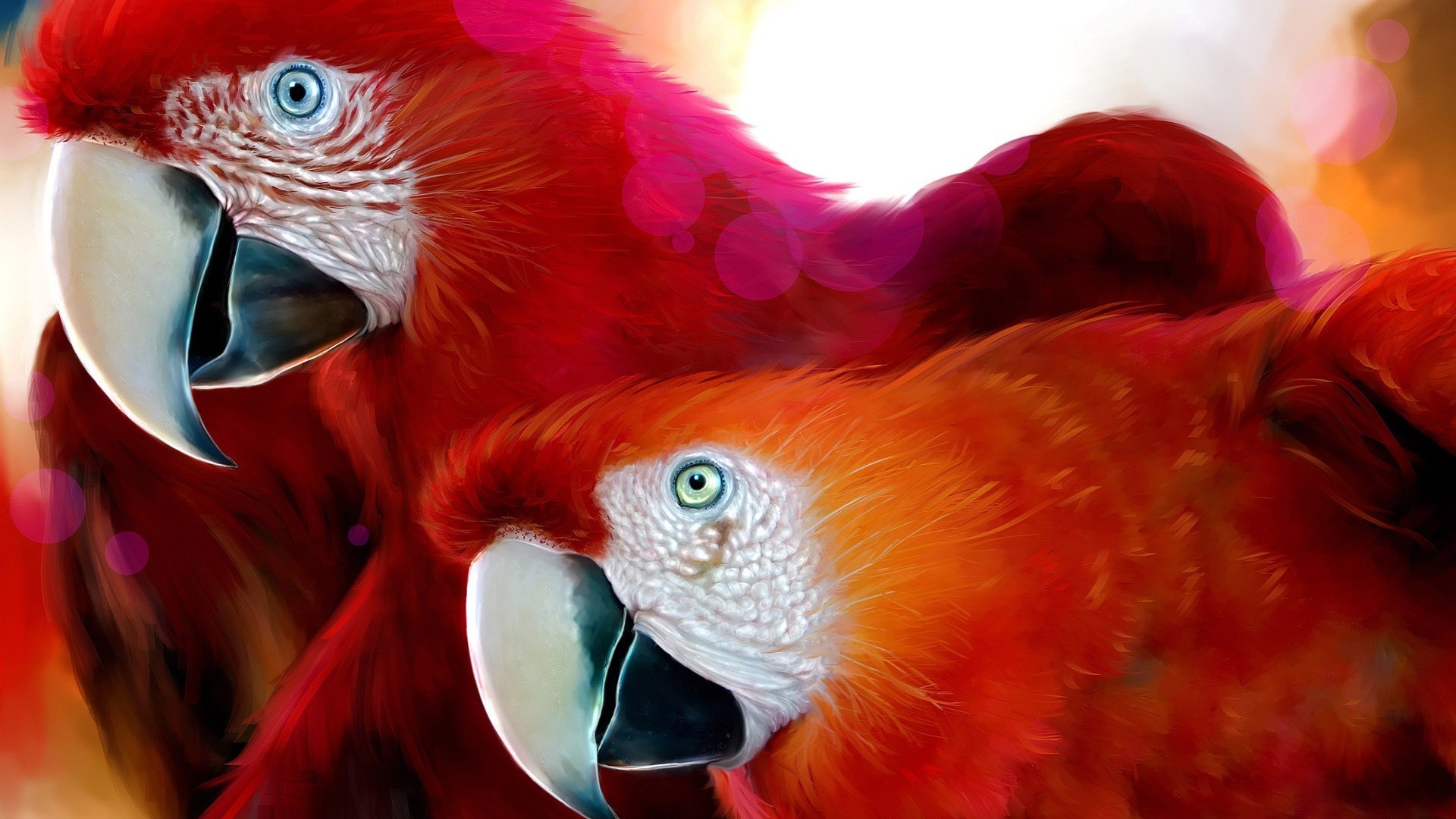 animales loro pájaro pluma guacamayo tropical zoológico color retrato exótico animal pico vida silvestre brillante