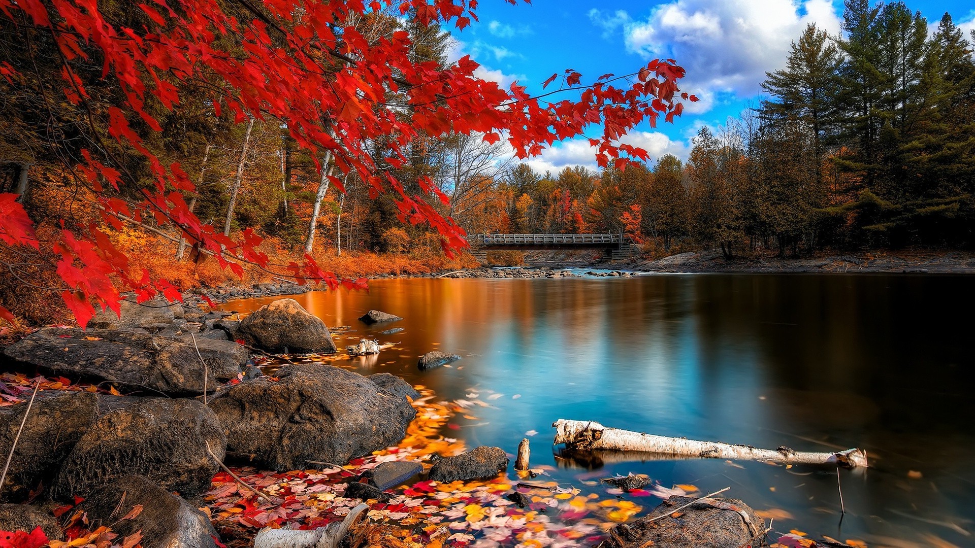 lac automne eau paysage arbre rivière feuille nature en plein air bois parc scénique érable réflexion