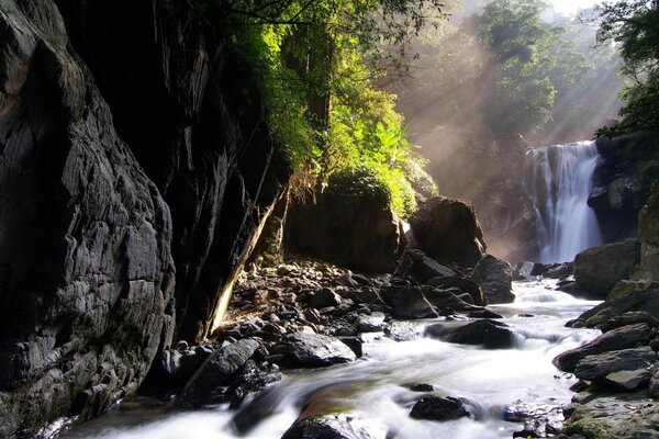 Cascata, con vegetazione che cresce lungo il bordo