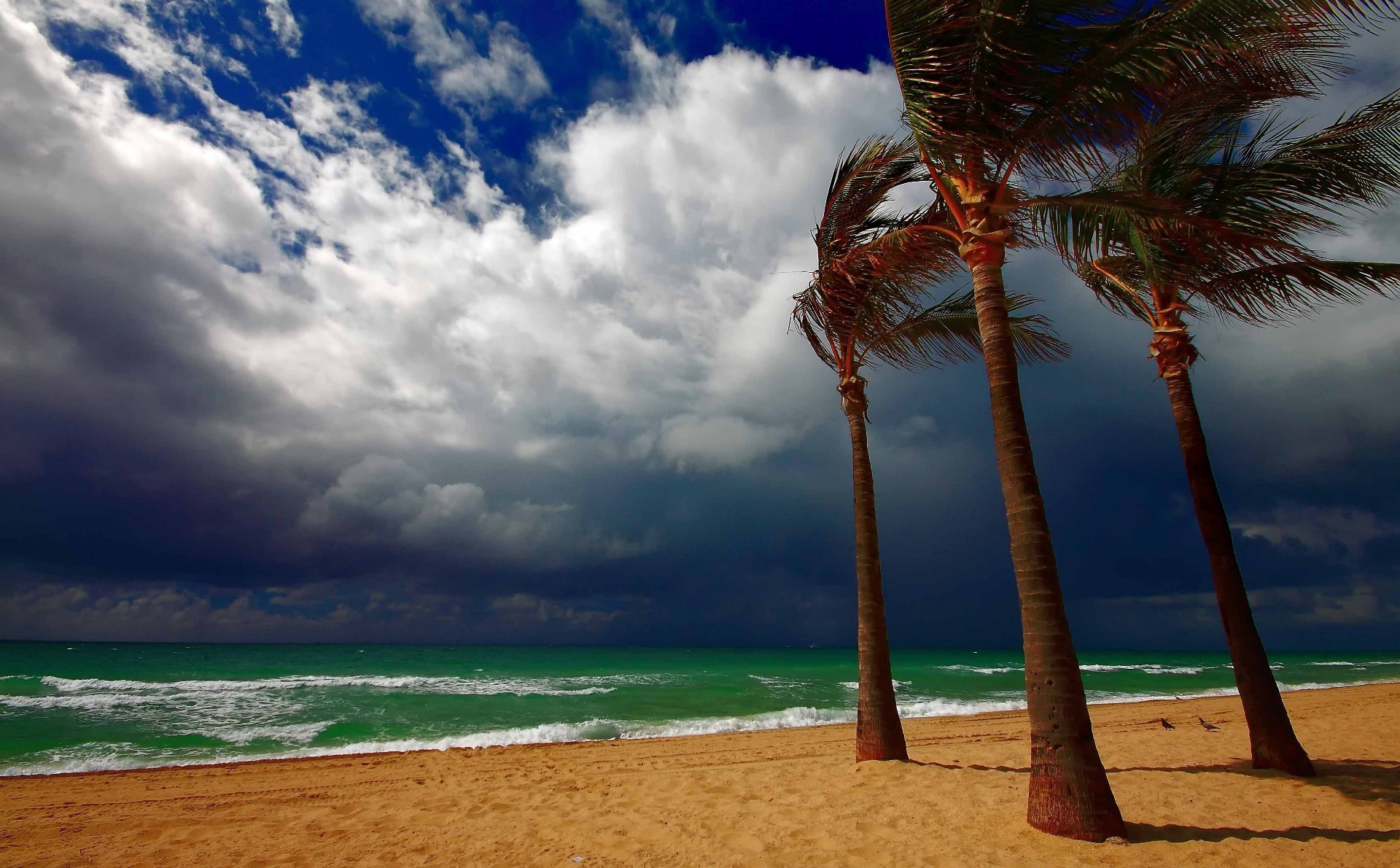 palme e tropici spiaggia sabbia acqua oceano tropicale mare viaggi sole isola paesaggio mare estate surf cielo esotico idillio resort baia bel tempo