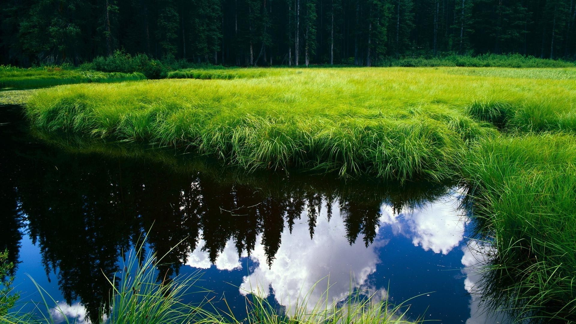 felder wiesen und täler landschaft gras natur im freien holz sommer wasser baum landschaftlich dämmerung umwelt see gutes wetter heuhaufen