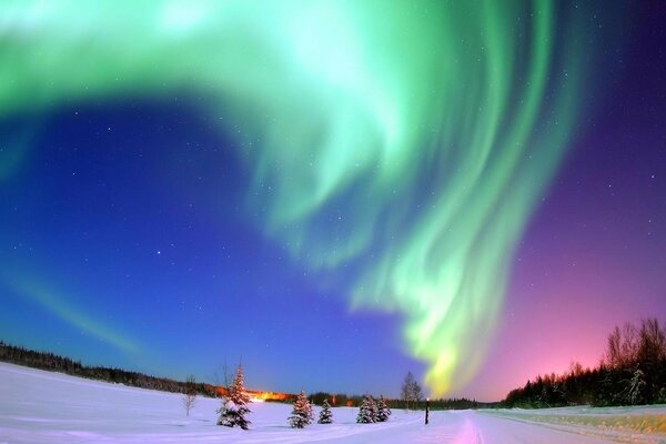 Smaragdgrüne Nordlichter über einem schneebedeckten Feld