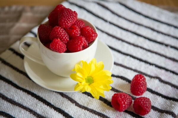 A cup of ripe raspberries on a striped towel