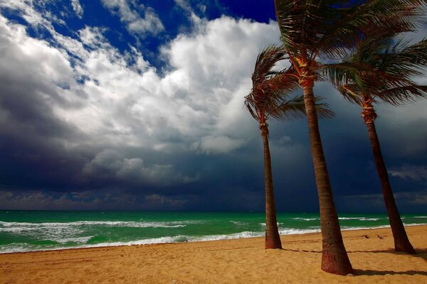 Une tempête approche sur une île tropicale