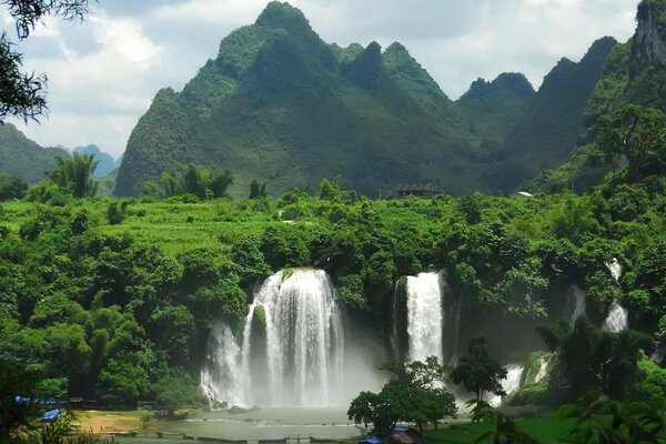 Высокий водопад в глубине тропических лесов