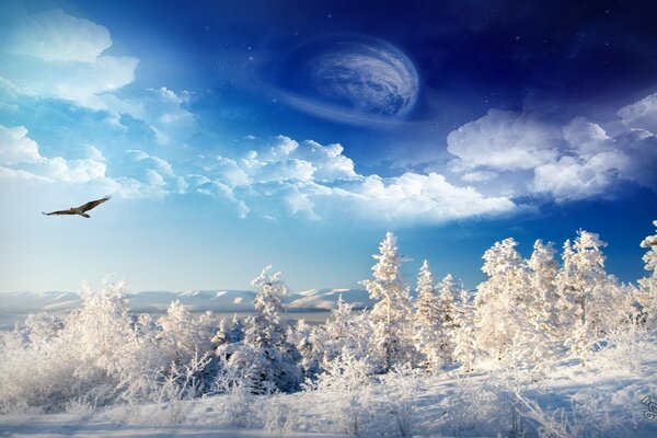 The cosmic sky has risen above the snowy forest