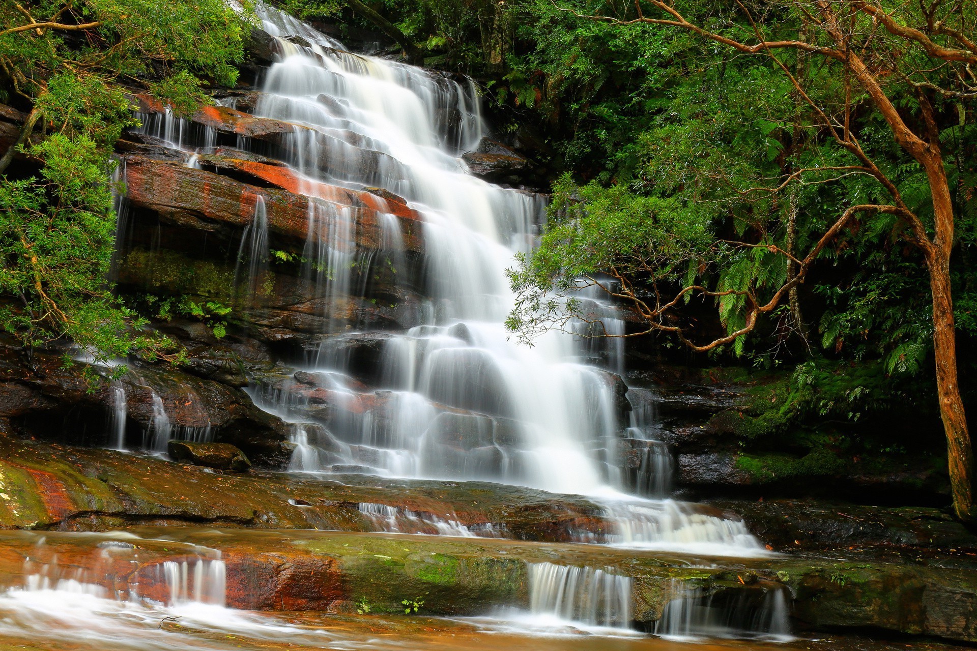 cascades cascade eau rivière automne flux nature bois cascade rock feuille à l extérieur voyage ruisseau paysage montagne mousse flux humide mouvement