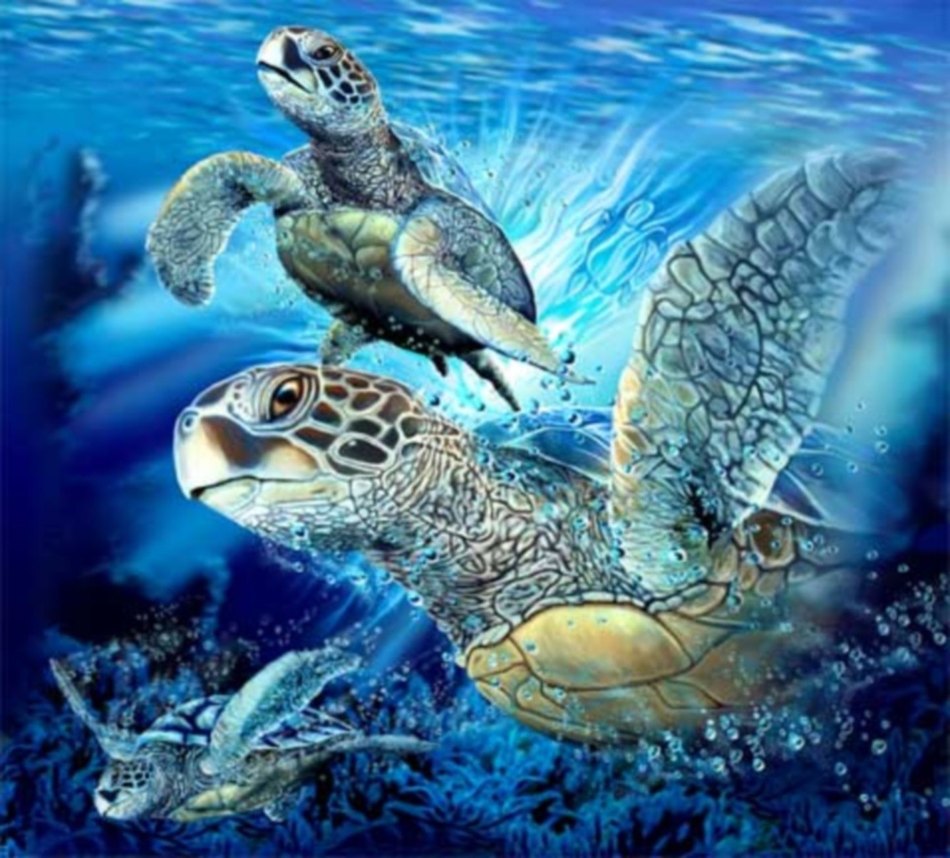 animaux tortue sous-marin gazebo mer marine océan récif aquatique tropical animal la nature natation corail la faune scooby eau plongée coquille tortue poissons