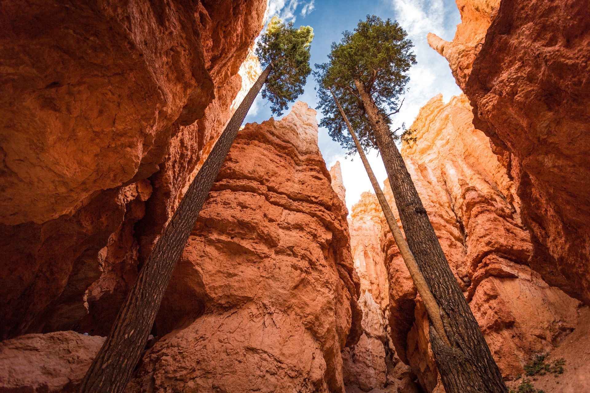 sommer schlucht rock sandstein reisen im freien geologie wüste landschaftlich tageslicht park landschaft tal berge