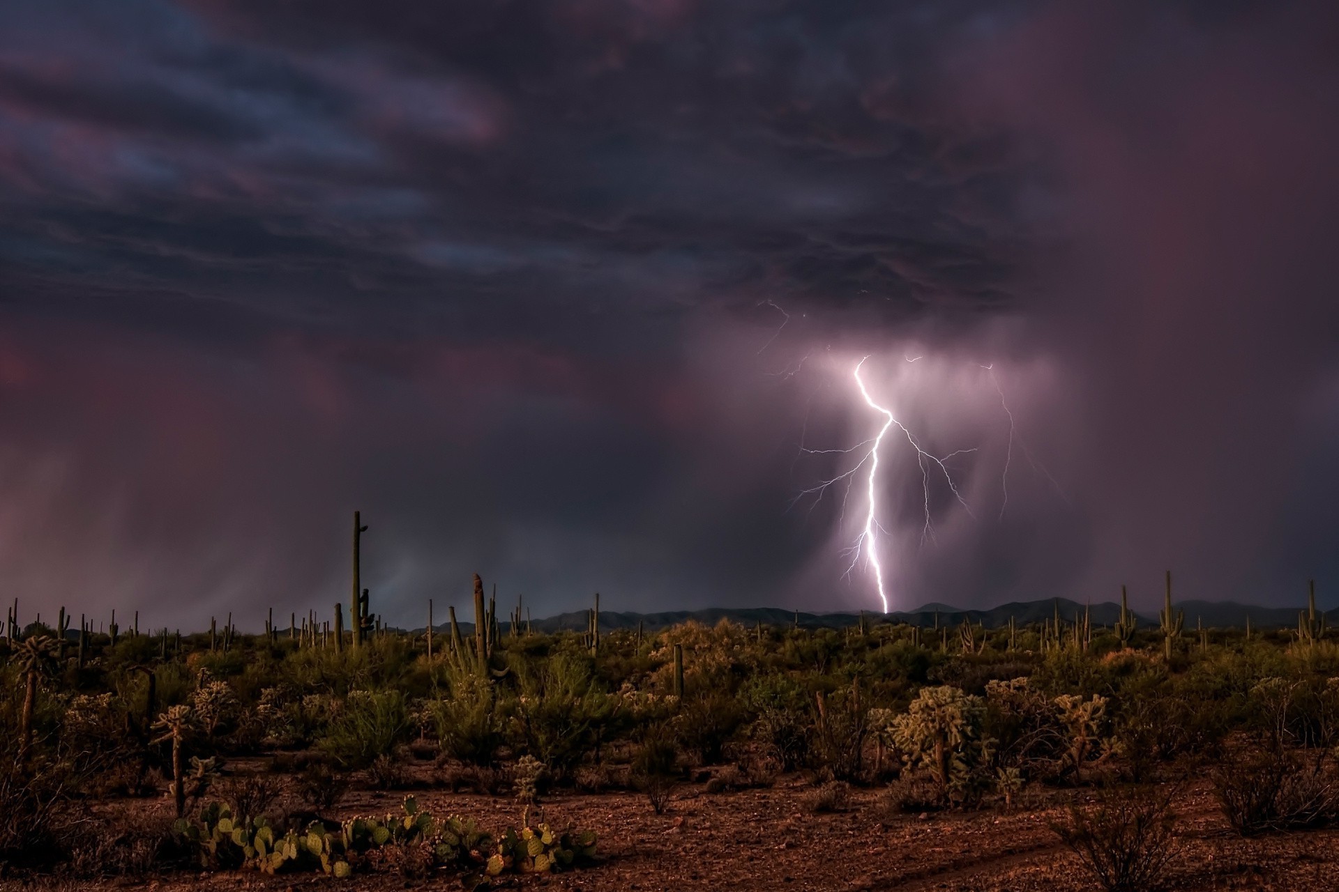 lightning sunset storm landscape sky dawn rain evening sun thunderstorm light dusk nature weather thunder silhouette