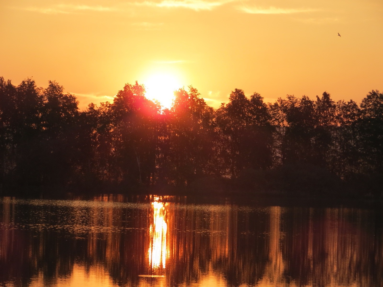 atardecer y amanecer atardecer amanecer agua reflexión lago noche río crepúsculo paisaje sol naturaleza cielo luz al aire libre