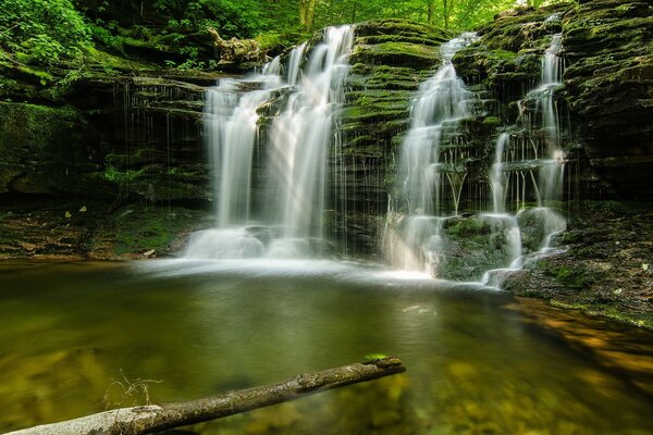 Bela pequena cascata em cascata