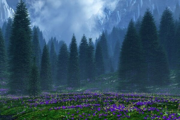 Green glade on the background of the forest