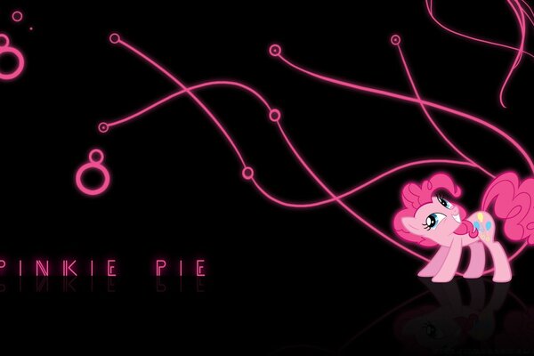 Kleines Pony Pinky Pai posiert auf schwarzem Hintergrund